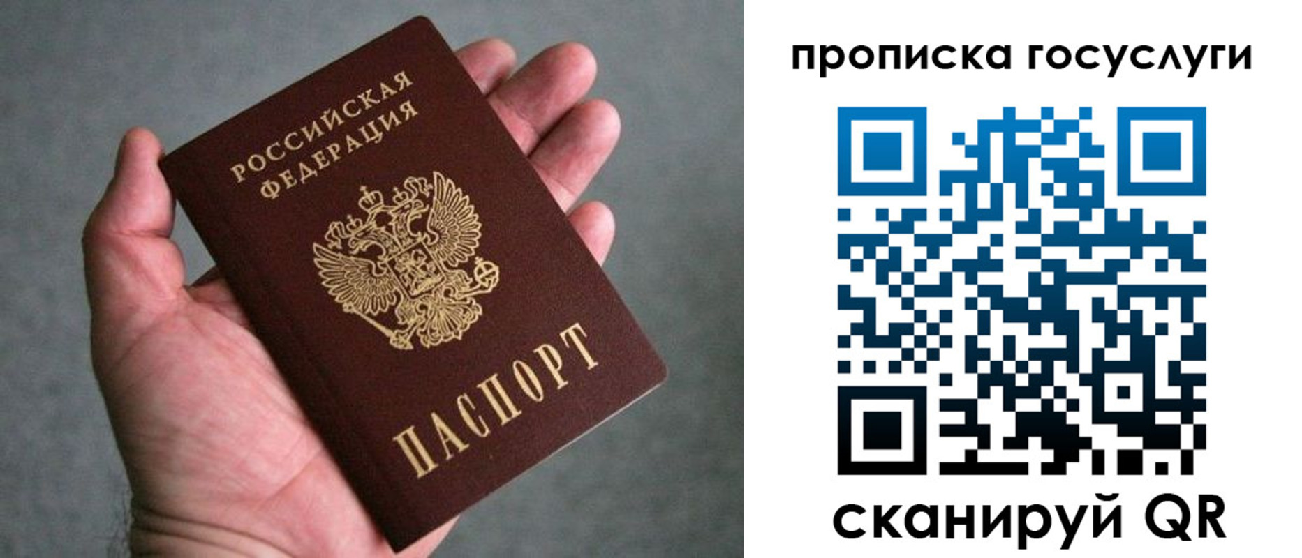прописка 2025 в Долгопрудном